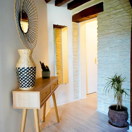 Cosy Zenith *